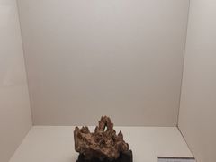 -中国沉香文化博物馆