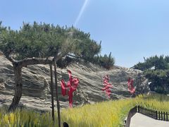 -中华郡文化旅游景区