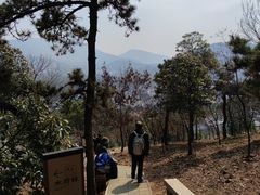 -香雪海