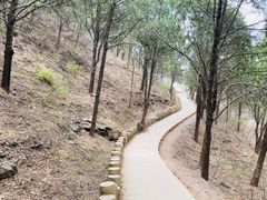 -北京西山国家森林公园