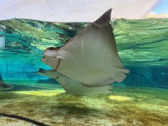 -新加坡水上探险乐园