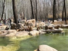 -北京野生动物园