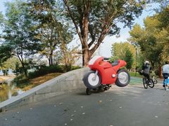 -长白岛森林公园