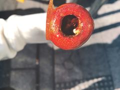 -和禄德冰糖葫芦