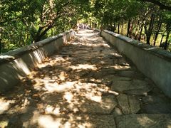 -阳台山自然风景区
