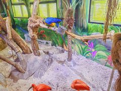 -海合安武汉极地海洋公园