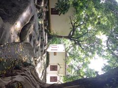 iphone_upload_pic-明秀园