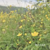 农村溜娃不比城里差呀