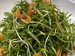 樱花虾空心菜苗-西江印象酒楼