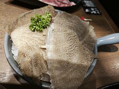 鲜毛肚片-快乐小羊·内蒙牛羊肉火锅(流花中心店)
