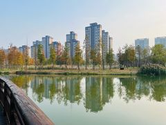 -洋湖国家湿地公园