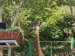 -水上乐园·欢乐世界