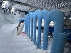-郑州银基冰雪世界