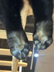 -Zoolung Zoolung动物主题公园(海信广场店)