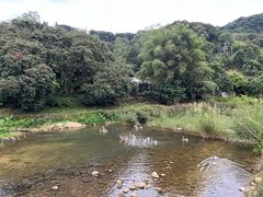 -聚百川(增城西城路店)