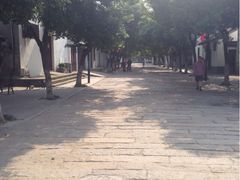 iphone_upload_pic-震泽古镇