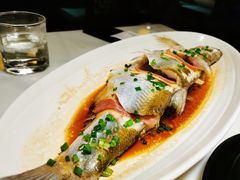 招牌清蒸钱塘江白条-柳莺湖上·湖景餐厅·江南菜(西湖店)