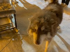 -北极村旅游风景区