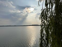 -丁香湖公园