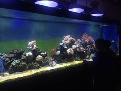 -御唐府海珊瑚主题餐厅