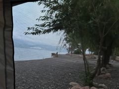 -阳宗海湿地