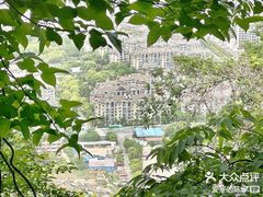 -惠山国家森林公园
