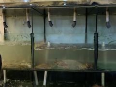 -天天渔港海鲜酒家(石浦玉泉路店)