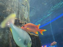 -福州罗源湾海洋世界旅游区