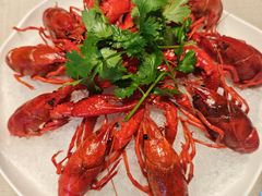 冰镇特大小龙虾-苏韵庭