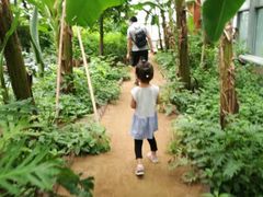 -北京呀路古热带植物园
