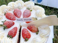 -Dark Horse·黑马蛋糕·低脂·低糖淡奶(金匙望湖大厦店)