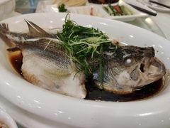 清蒸鲈鱼-椿记烧鹅(叠彩店)