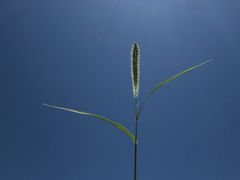-敦煌莫高窟数字展示中心