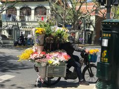 -LADY FAFA(巨鹿路陕西南路路口店)
