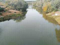 -四里河滨水生态公园