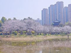 -堤角公园