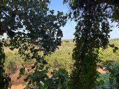 -侯臣咖啡文化村