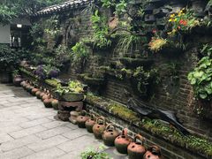 -青城甲(青城山店)