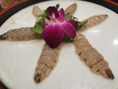 虾姑刺身-草鱼先生潮州鱼生·虾生(新厦花园店)