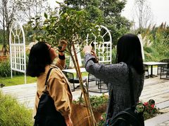 -白鹭湾湿地公园