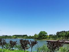 -东郊湿地公园