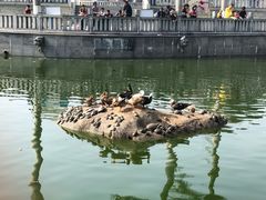-梵天禅寺