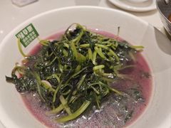 -绿草地·湘菜(芙蓉天街店)