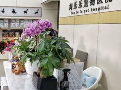 -凯瑞希宠物医院·狂犬免疫·微创·皮肤科
