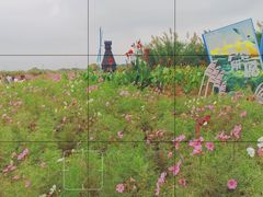 -宁波杭州湾国家湿地公园
