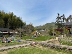 -宁波浙东大竹海景区