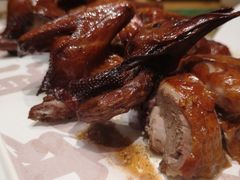 红烧乳鸽-大鸽饭(北京路店)