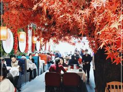 -雲蜀龙阁·金牌水煮鱼(方庄店)