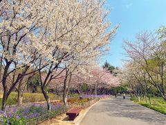 -白塘生态植物园