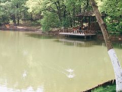 -金陵矩阵(聚宝山公园店)